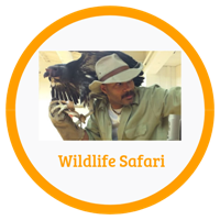 Wildlife Safari Badge