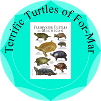 Terrific Turtles Badge