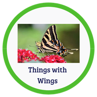 Things With Wings Badge