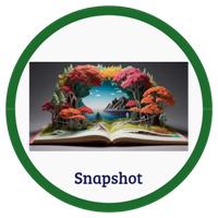 Snapshot 2 Badge