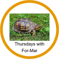 ForMar1 Badge