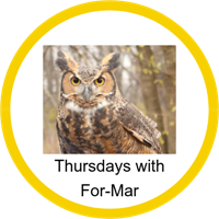 Formar2 Badge