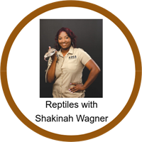 Reptiles Badge